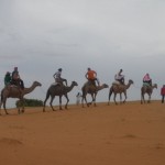 Desert de Lompoul