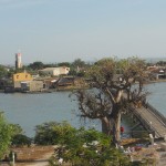 L'île aux Coquillages