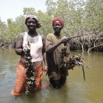 Casamance