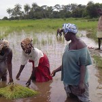 Casamance