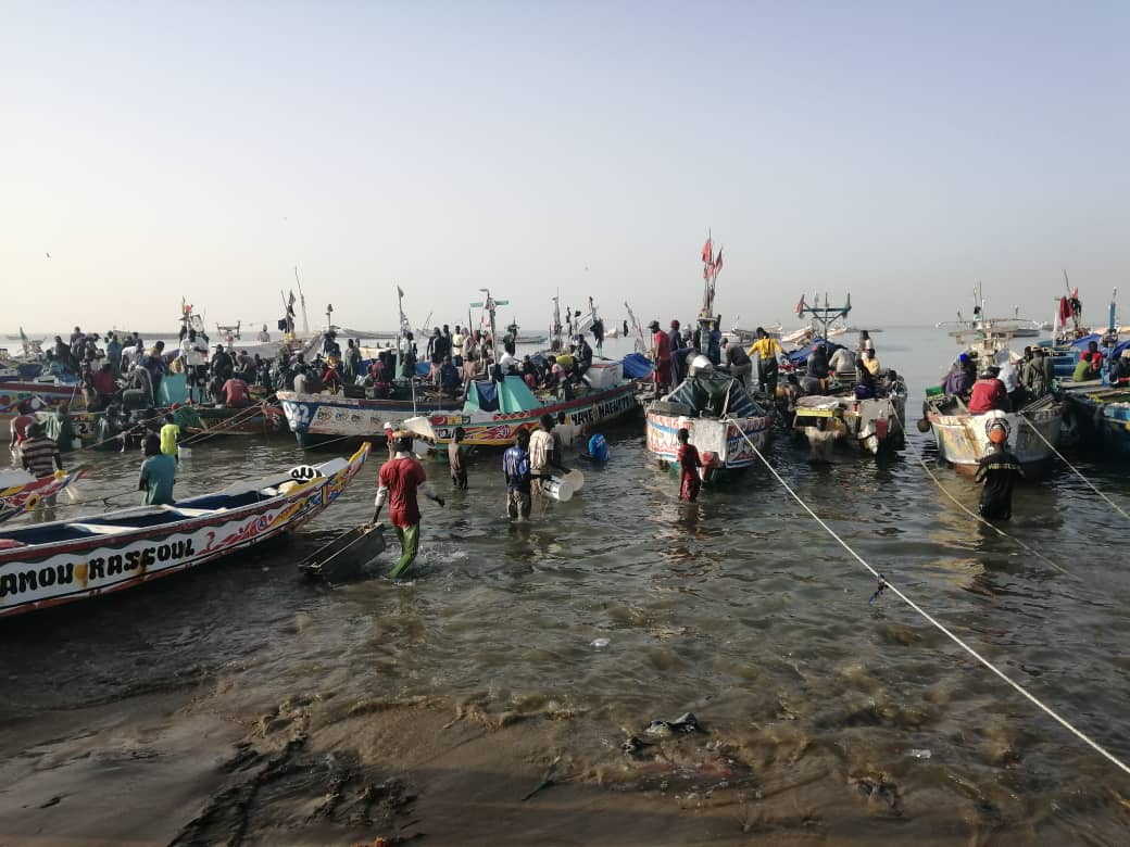 Excursion Arrivée des Pêcheurs à Mbour