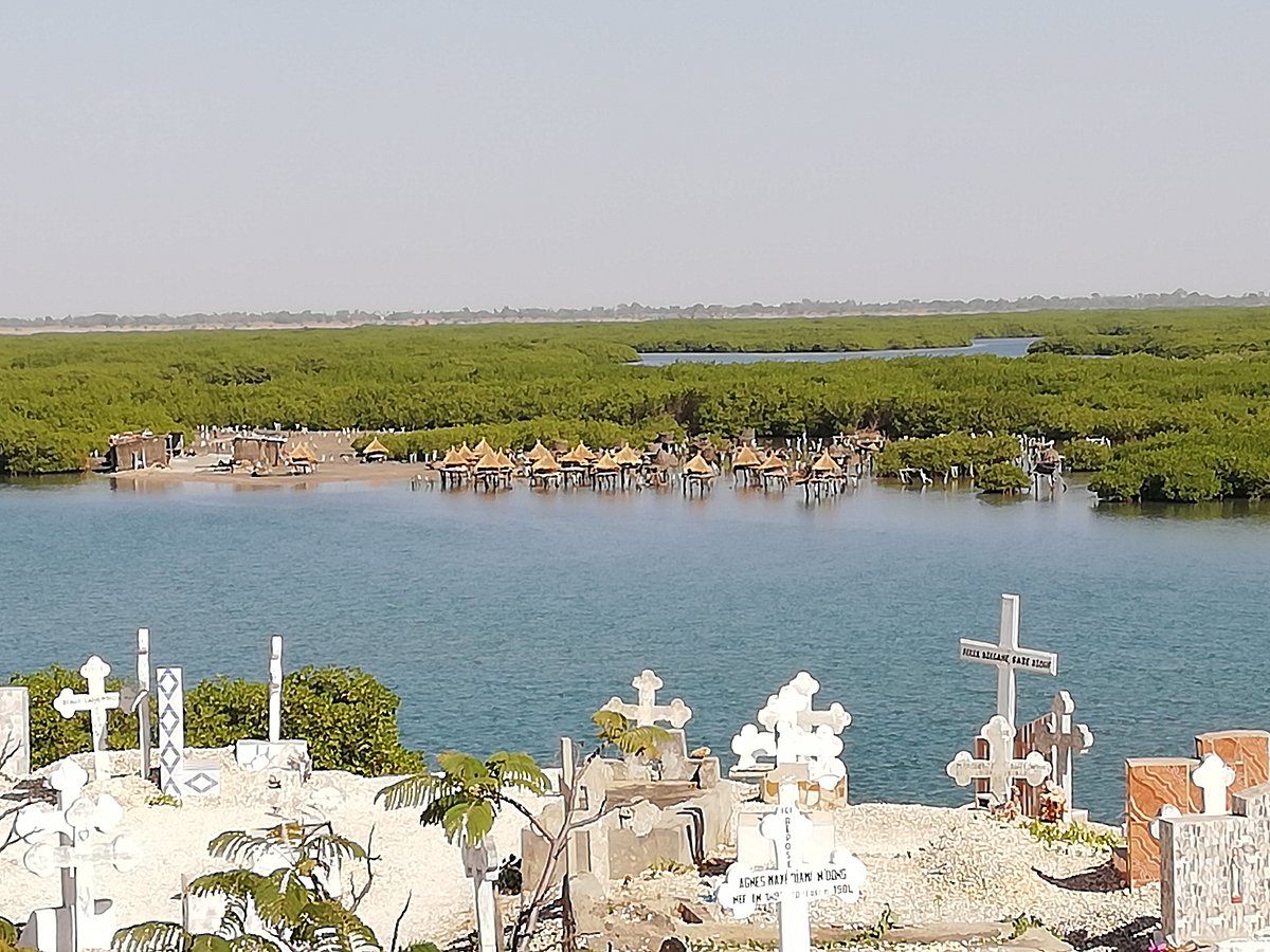 Visite de l'Île aux Coquillages