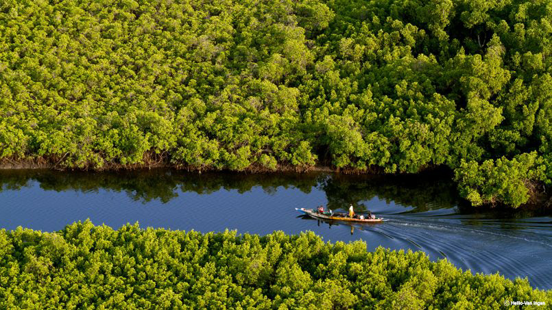 À la découverte des Îles du Saloum au Sénégal